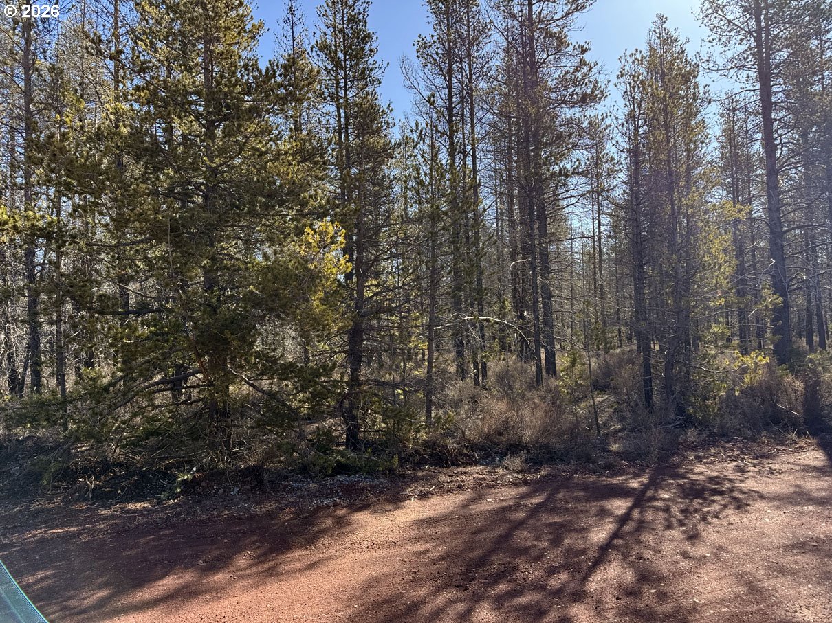 Scott View Drive, Unit 11 Chiloquin, OR 97624 - Photo 14 of 37 a view of a forest with trees