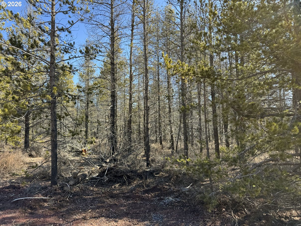 Scott View Drive, Unit 11 Chiloquin, OR 97624 - Photo 17 of 37 a view of a yard with lots of bushes