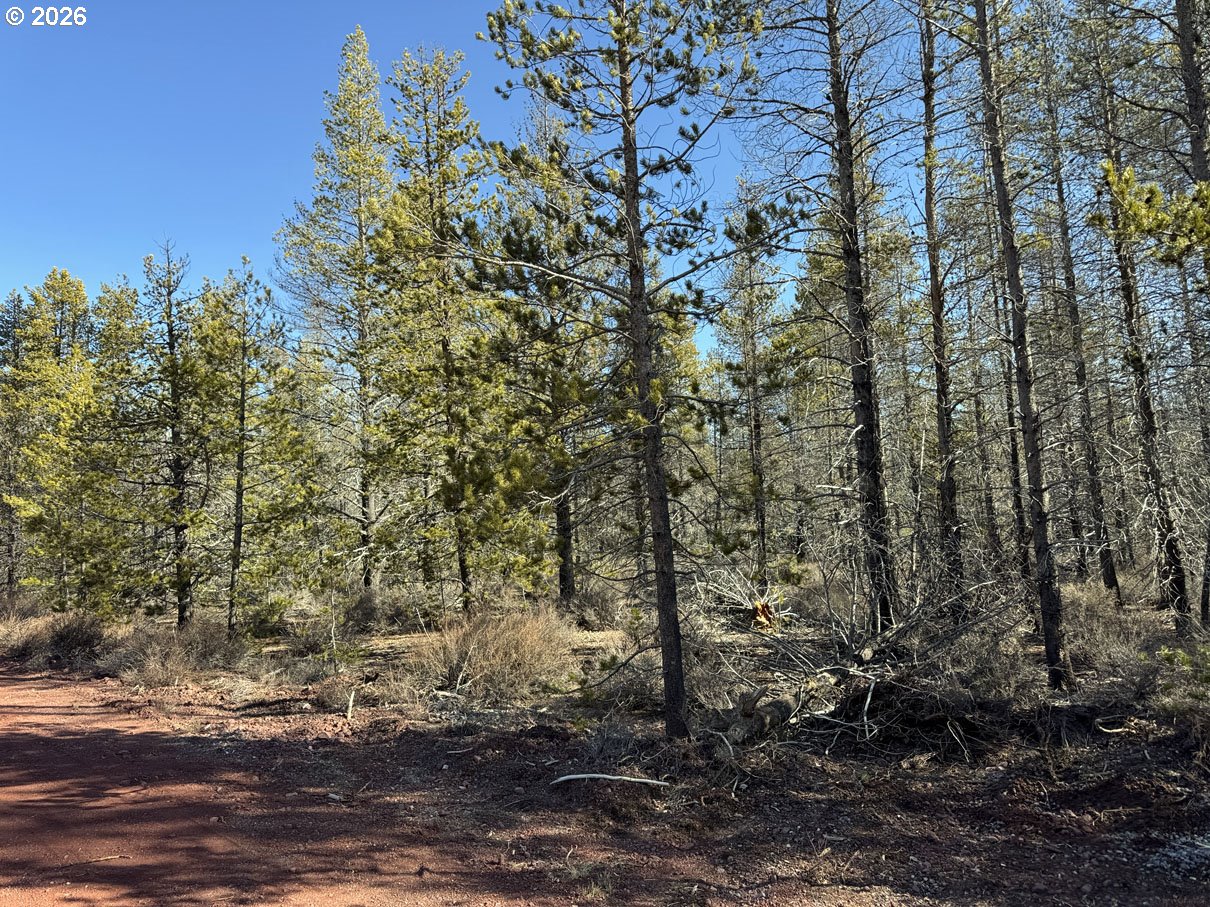 Scott View Drive, Unit 11 Chiloquin, OR 97624 - Photo 18 of 37 a view of a forest filled with trees