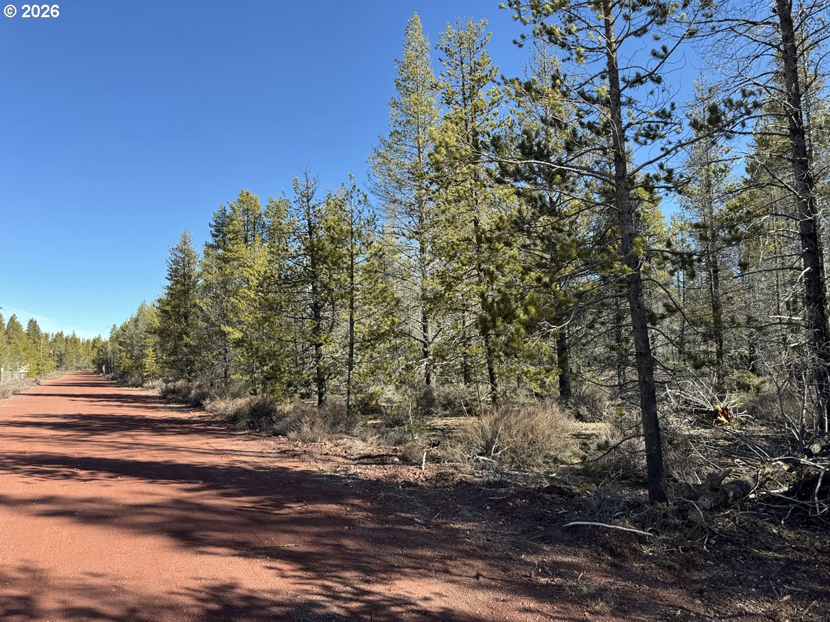 Scott View Drive, Unit 11 Chiloquin, OR 97624 - Photo 19 of 37 a view of a yard with a tree