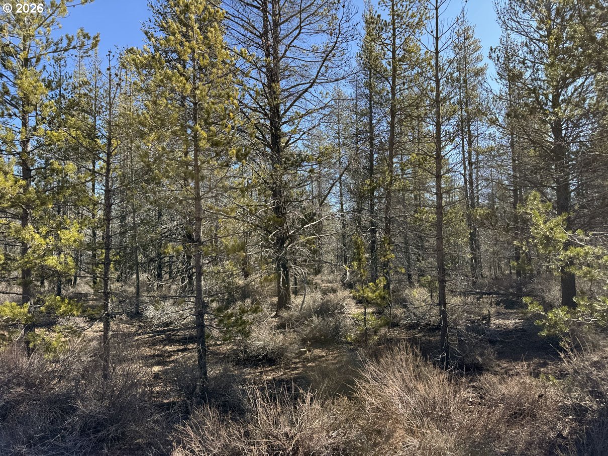 Scott View Drive, Unit 11 Chiloquin, OR 97624 - Photo 26 of 37 a view of a forest with houses