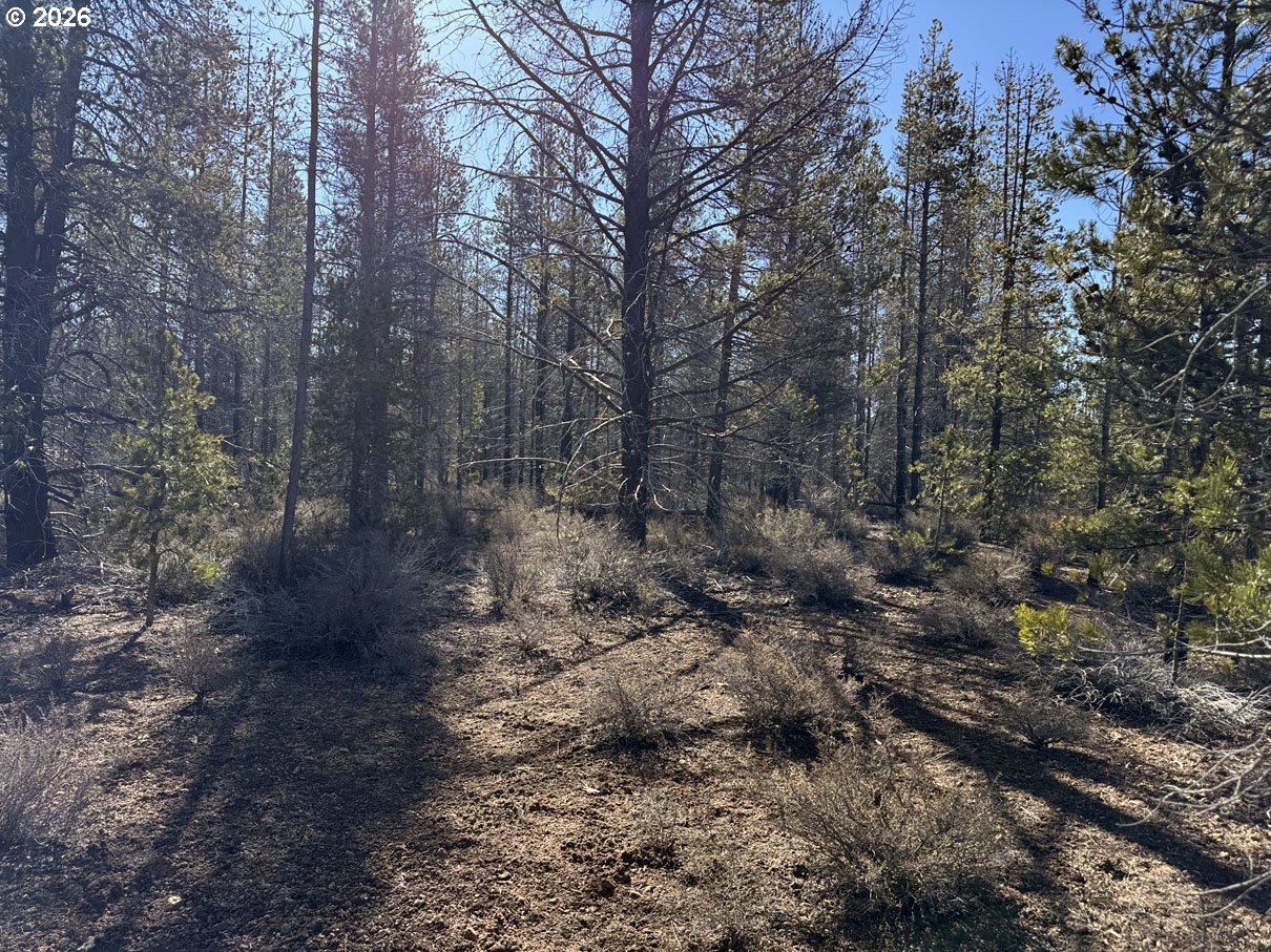 Scott View Drive, Unit 11 Chiloquin, OR 97624 - Photo 29 of 37 a view of a forest with trees in the background