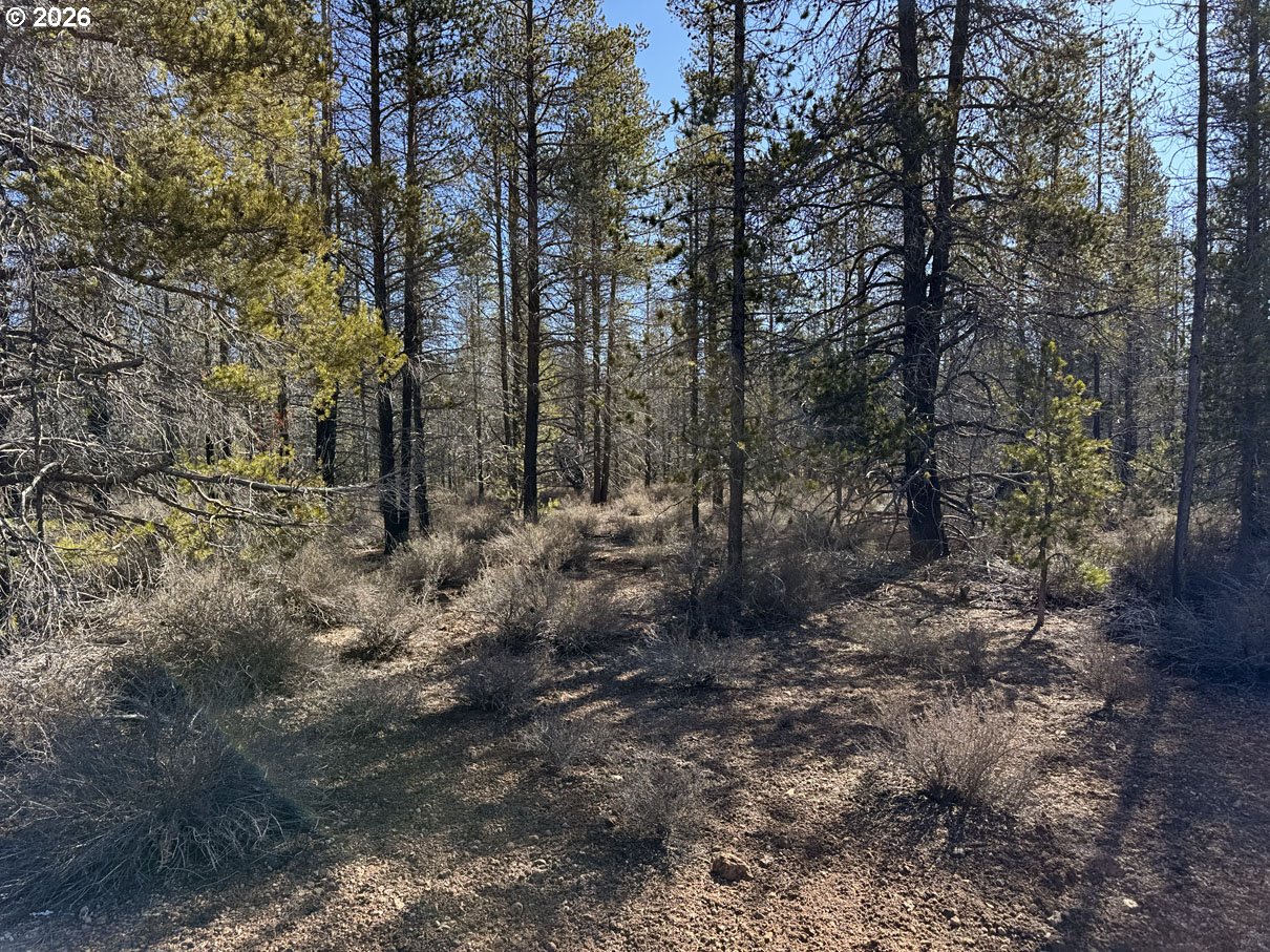 Scott View Drive, Unit 11 Chiloquin, OR 97624 - Photo 30 of 37 a view of a forest with trees in the background