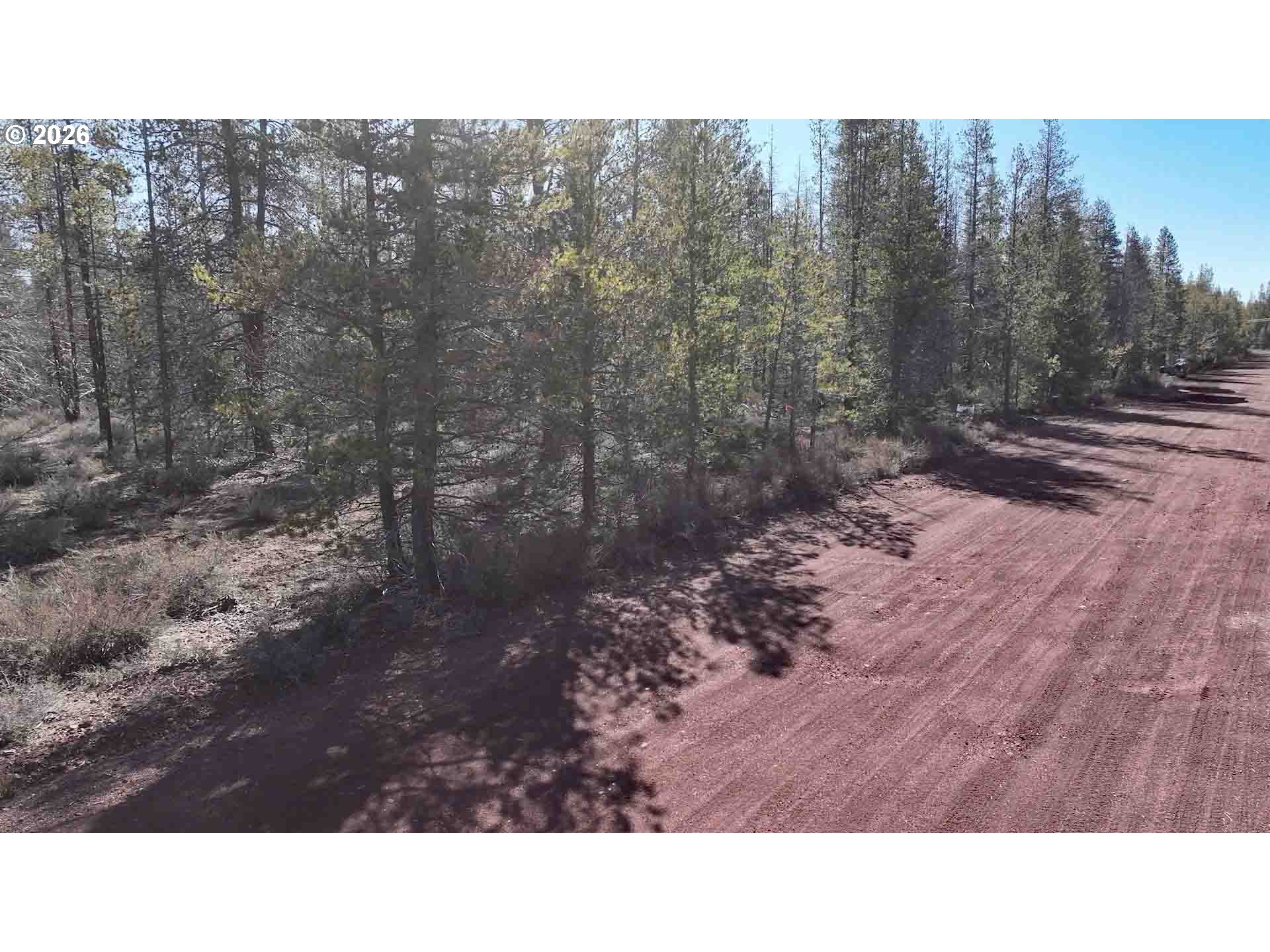Scott View Drive, Unit 11 Chiloquin, OR 97624 - Photo 3 of 37 a black and white photo of a forest