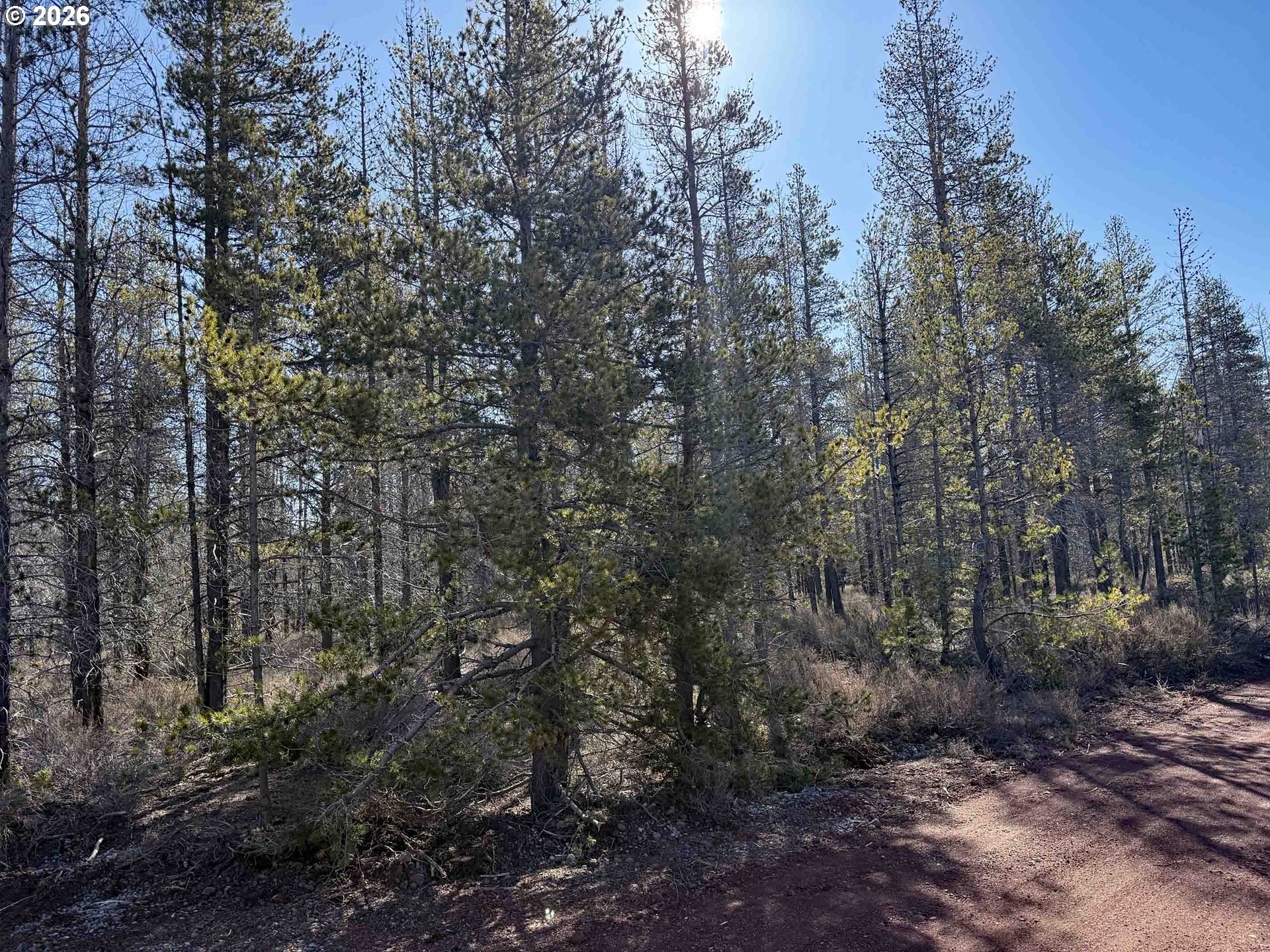 Scott View Drive, Unit 11 Chiloquin, OR 97624 - Photo 34 of 37 a view of a forest with trees in the background