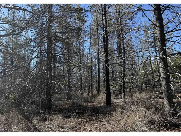 $18,000 | Scott View Drive, Unit 11, Chiloquin, OR 97624