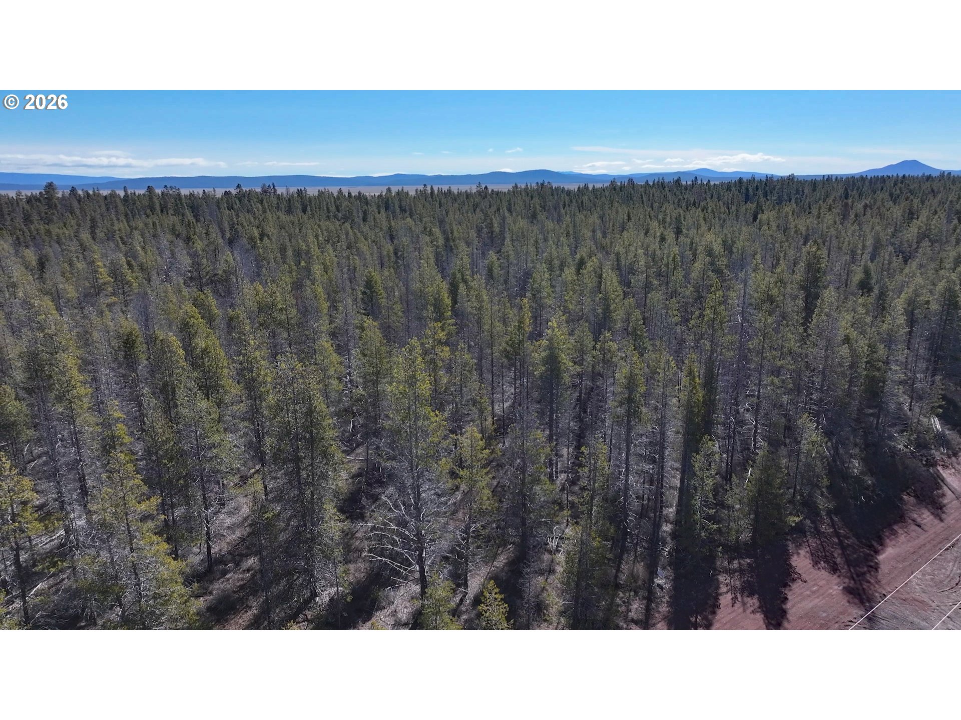 Scott View Drive, Unit 11 Chiloquin, OR 97624 - Photo 7 of 37 a black and white photo of a forest
