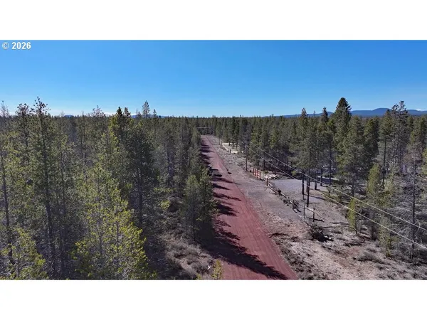 a open area with trees in the background