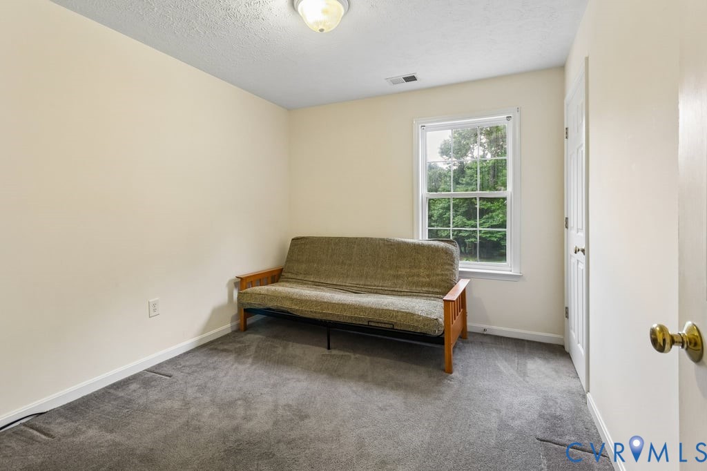 83 Albertson Court Ruther Glen, VA 22546 - Photo 17 of 25 Carpeted room featuring a double-hung window, a wh