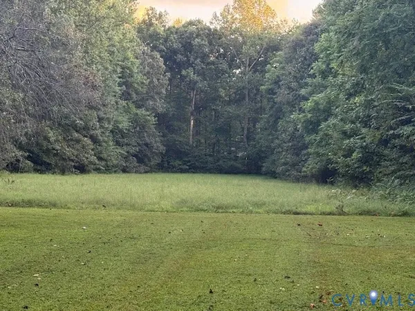 a view of a yard