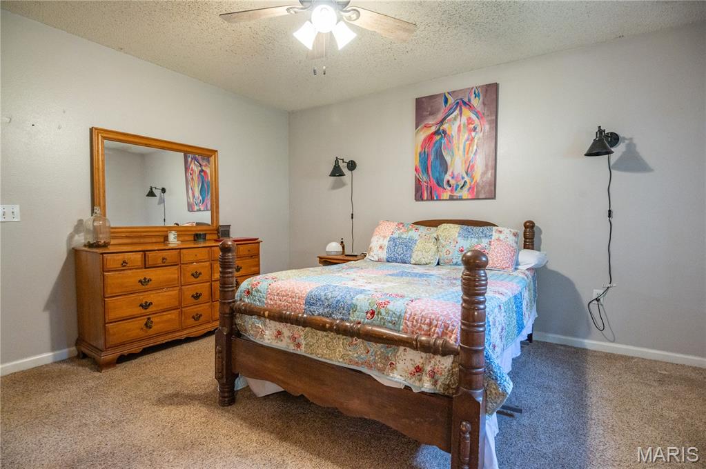 14033 County Road 405 Dexter, MO 63841 - Photo 24 of 36