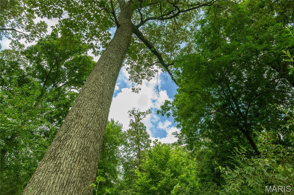 14033 County Road 405 Dexter, MO 63841 - Photo 36 of 36
