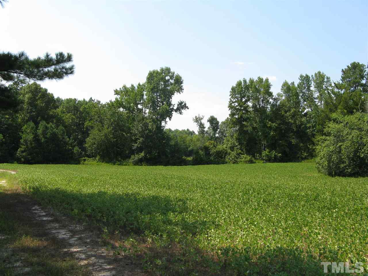 283 Walter Grissom Road Kittrell, NC 27544 - Photo 11 of 16 Gallery Image 11