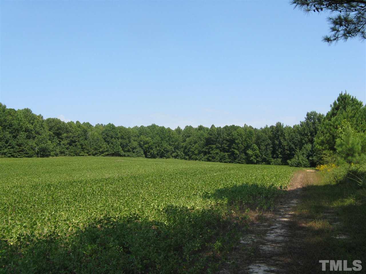 283 Walter Grissom Road Kittrell, NC 27544 - Photo 12 of 16 Gallery Image 12