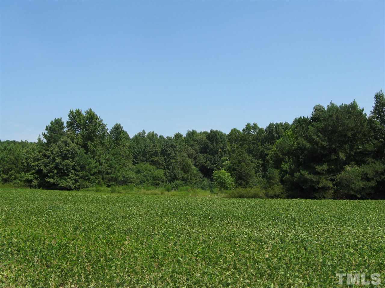 283 Walter Grissom Road Kittrell, NC 27544 - Photo 13 of 16 Gallery Image 13