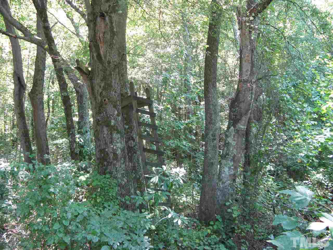 283 Walter Grissom Road Kittrell, NC 27544 - Photo 15 of 16 Gallery Image 15