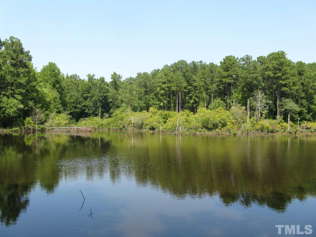 283 Walter Grissom Road Kittrell, NC 27544 - Photo 5 of 16 Gallery Image 5
