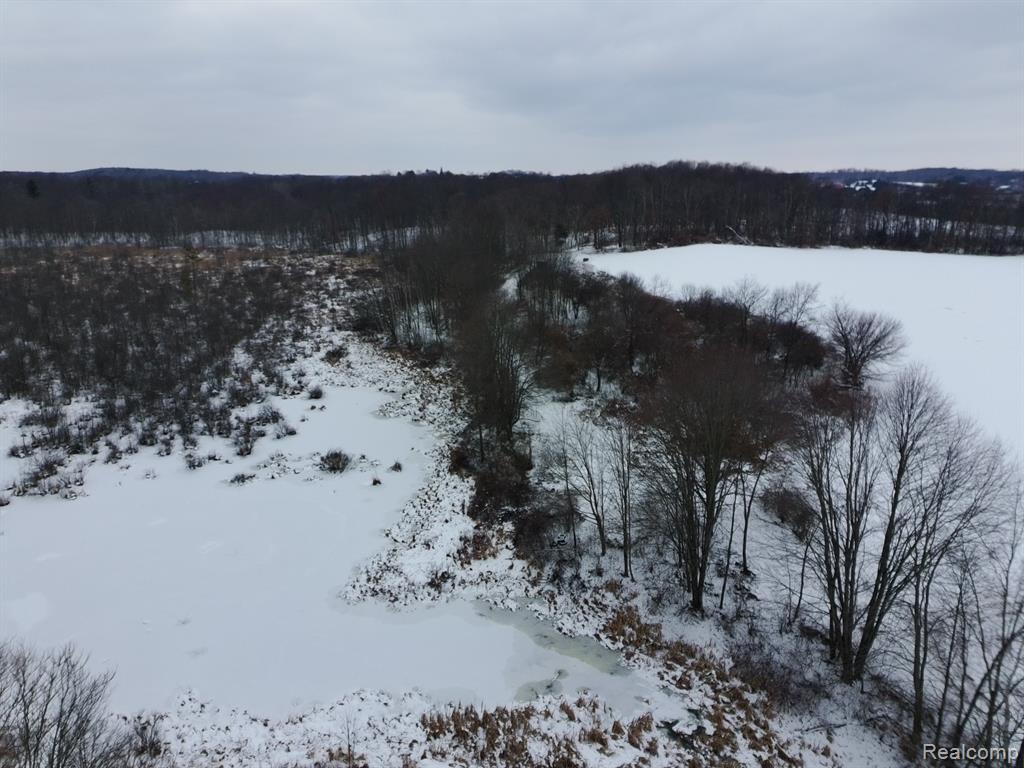 2581 Carpenter Road Lapeer, MI 48446 - Photo 29 of 39 Gallery Image 29