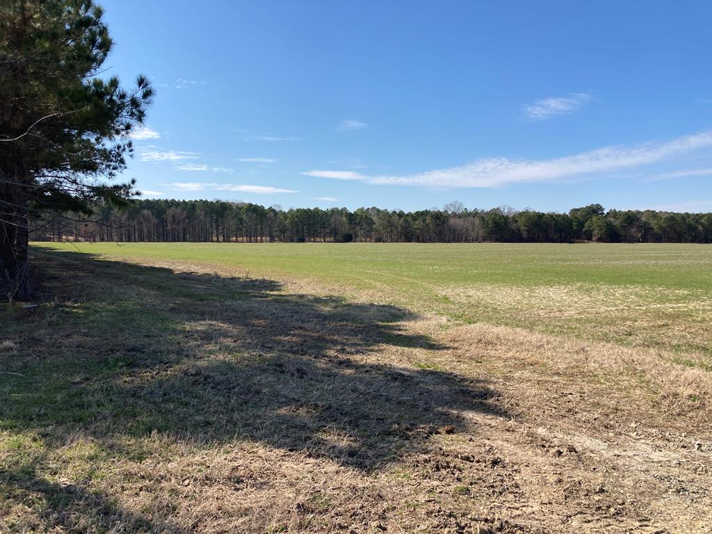 10360 Church Neck Road, Unit 12 Machipongo, VA 23405 - Photo 7 of 18