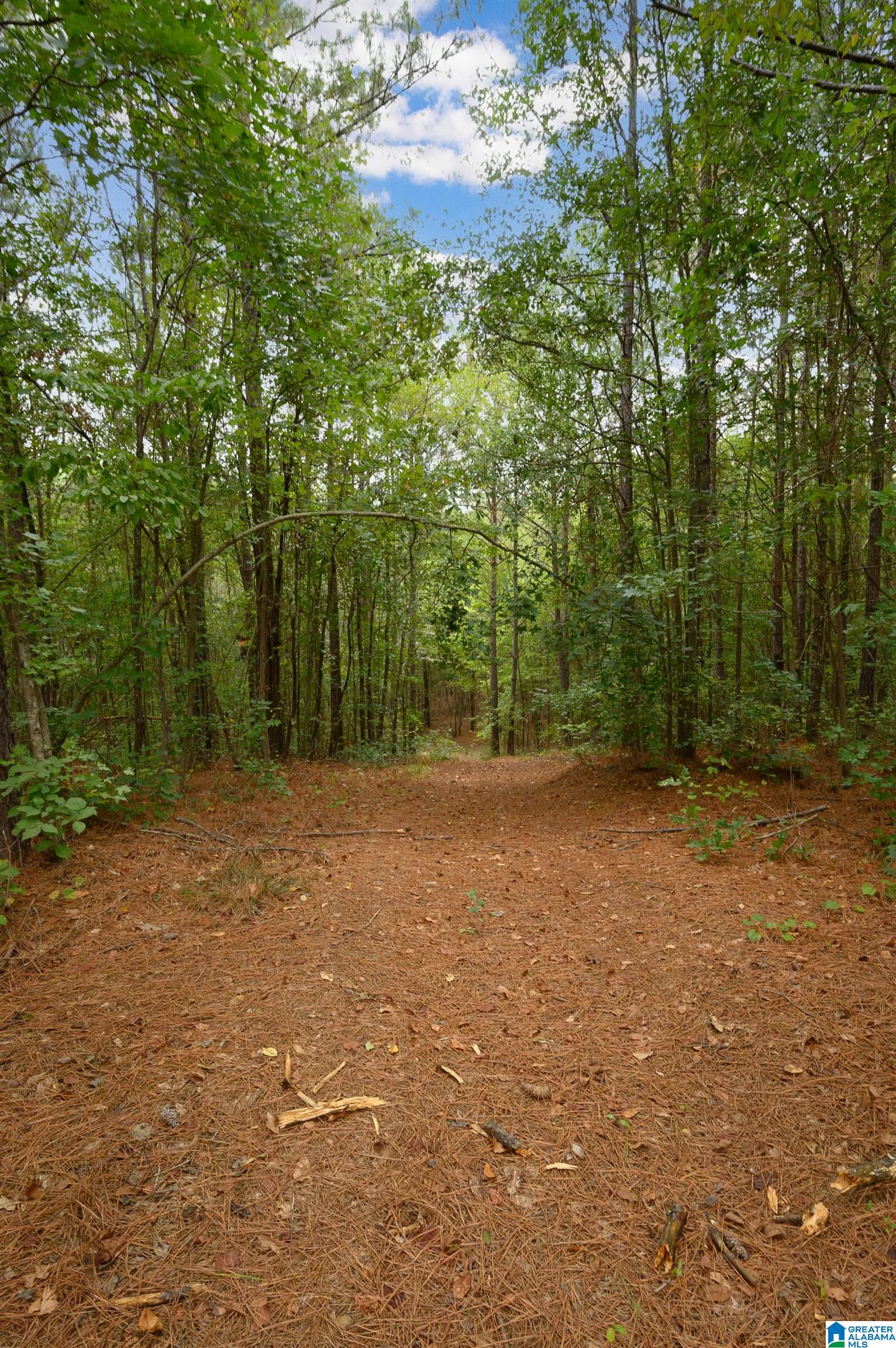 20534 Cathedral Lane McCalla, AL 35111 - Photo 40 of 51