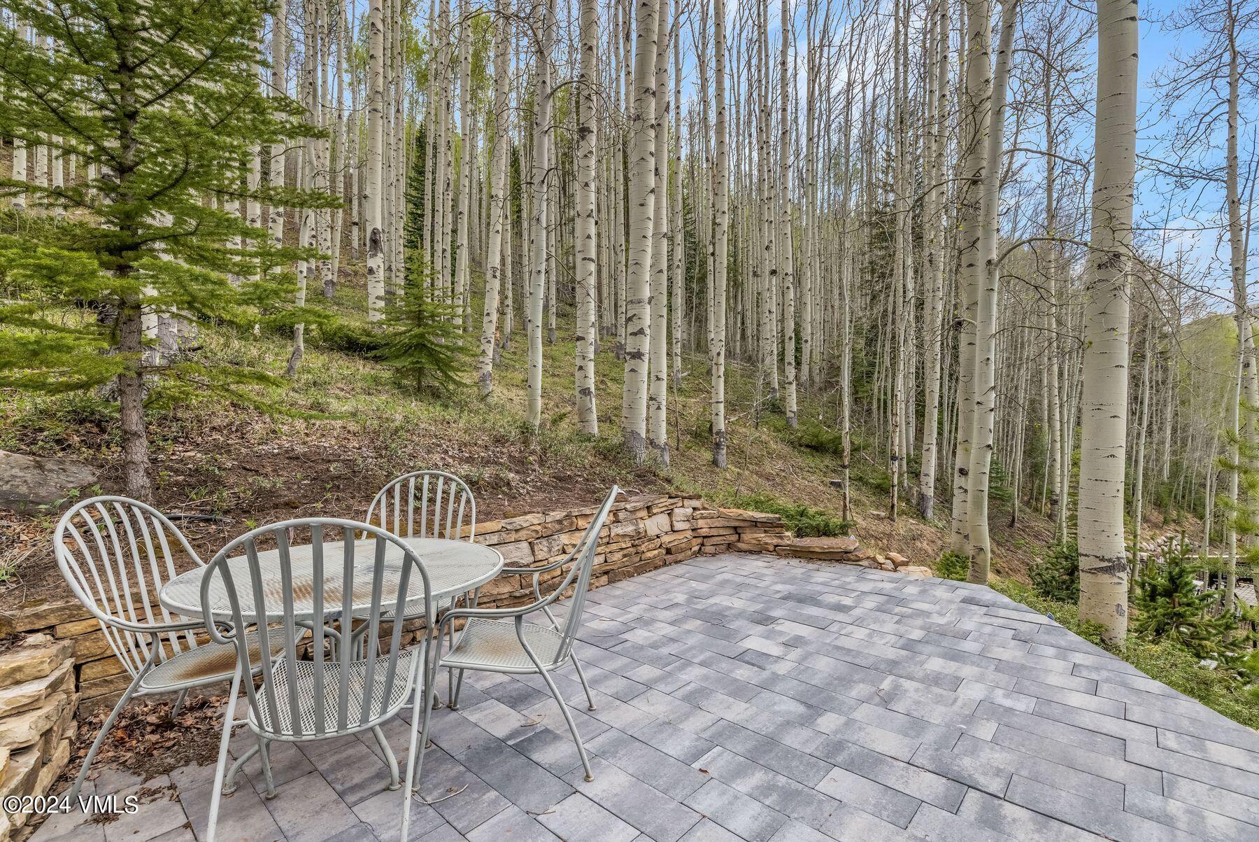 706 West Forest Road, Unit A Vail, CO 81657 - Photo 44 of 49 photo_online_043