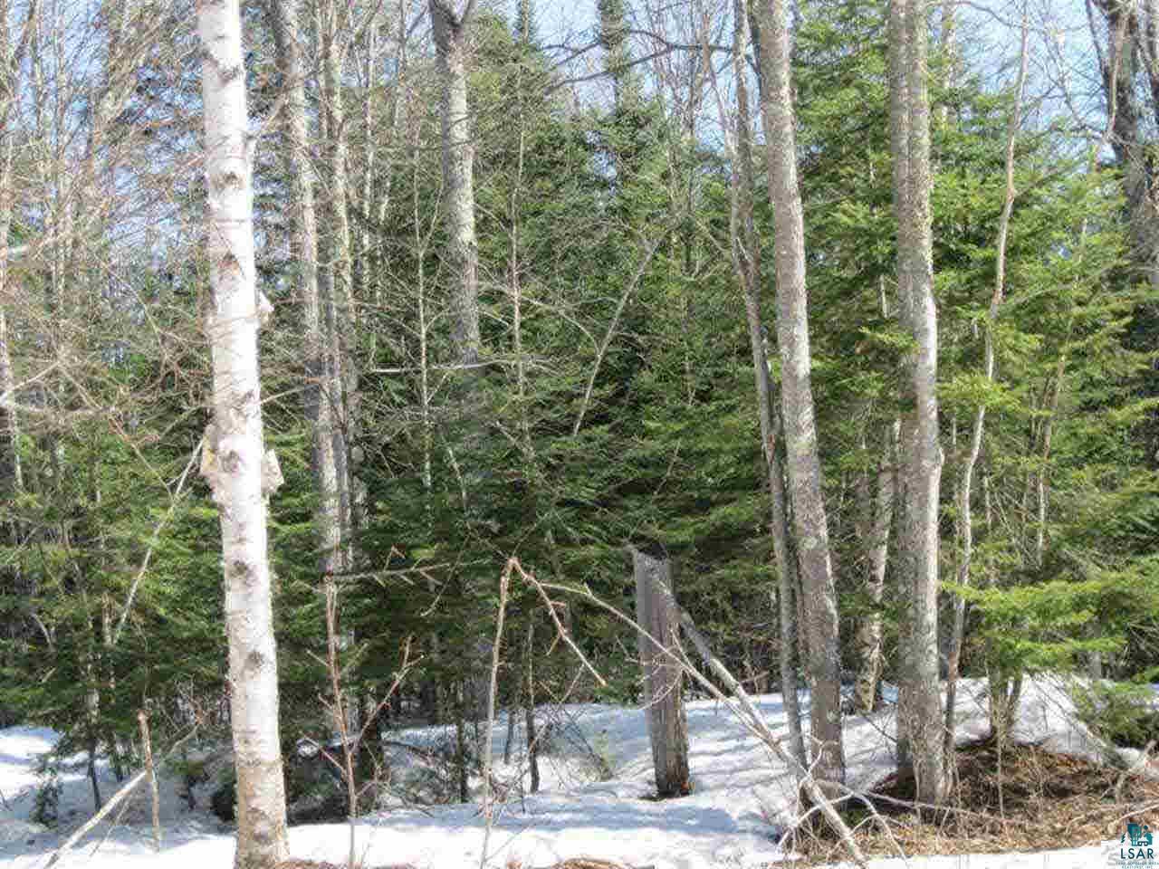 Lot 3 Little Sand Bay Road Bayfield, WI 54814 - Photo 12 of 15 Gallery Image 12