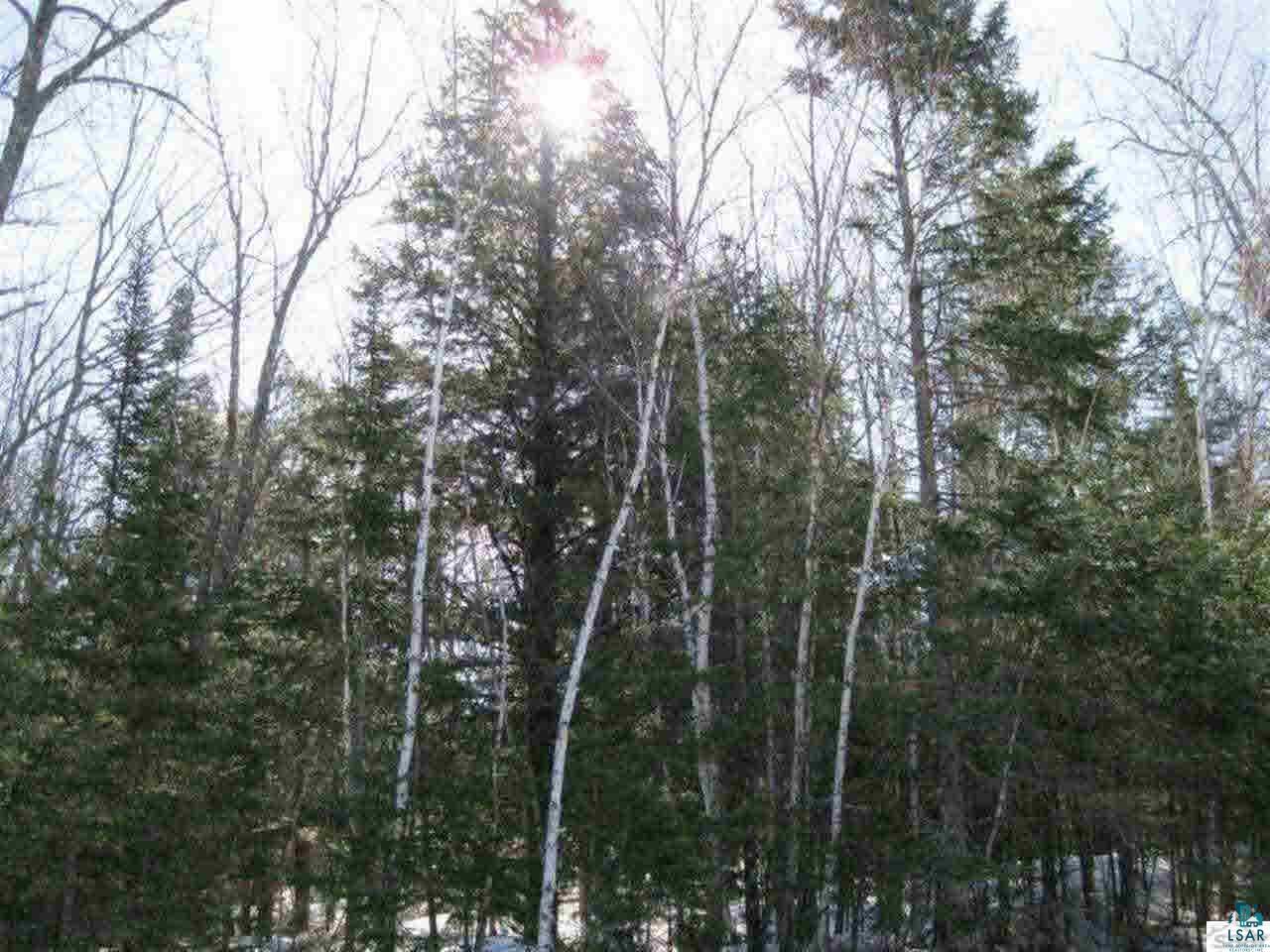Lot 3 Little Sand Bay Road Bayfield, WI 54814 - Photo 4 of 15 Gallery Image 4