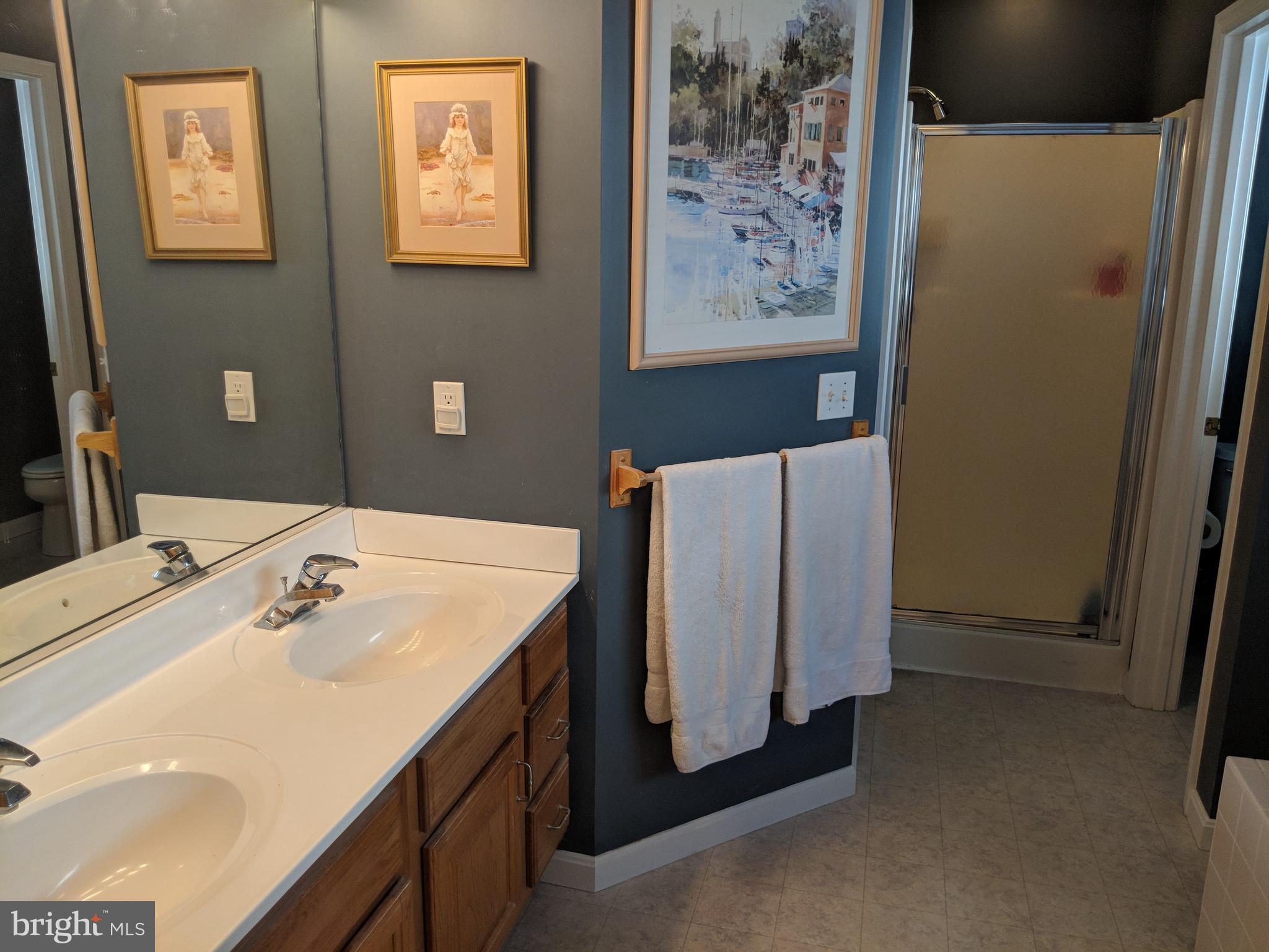 206 Ackerman Road Stevensville, MD 21666 - Photo 14 of 27 Bath (Master)
