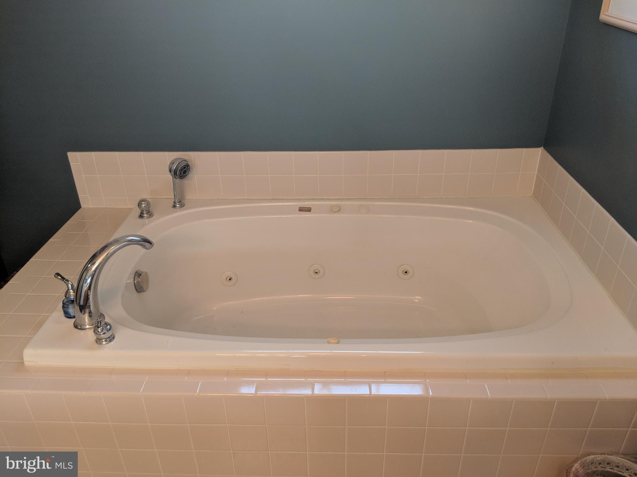 206 Ackerman Road Stevensville, MD 21666 - Photo 15 of 27 Master bath soaking tub