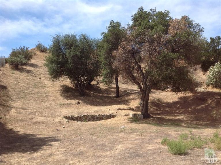 Trellis Road Castaic, CA 91384 - Photo 4 of 16 Additional Photo