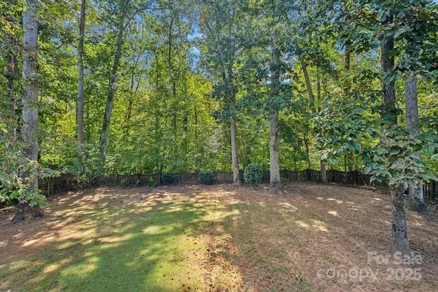 a view of a field with trees in the background