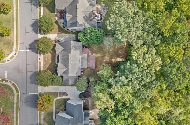 a plant that is sitting in front of a house