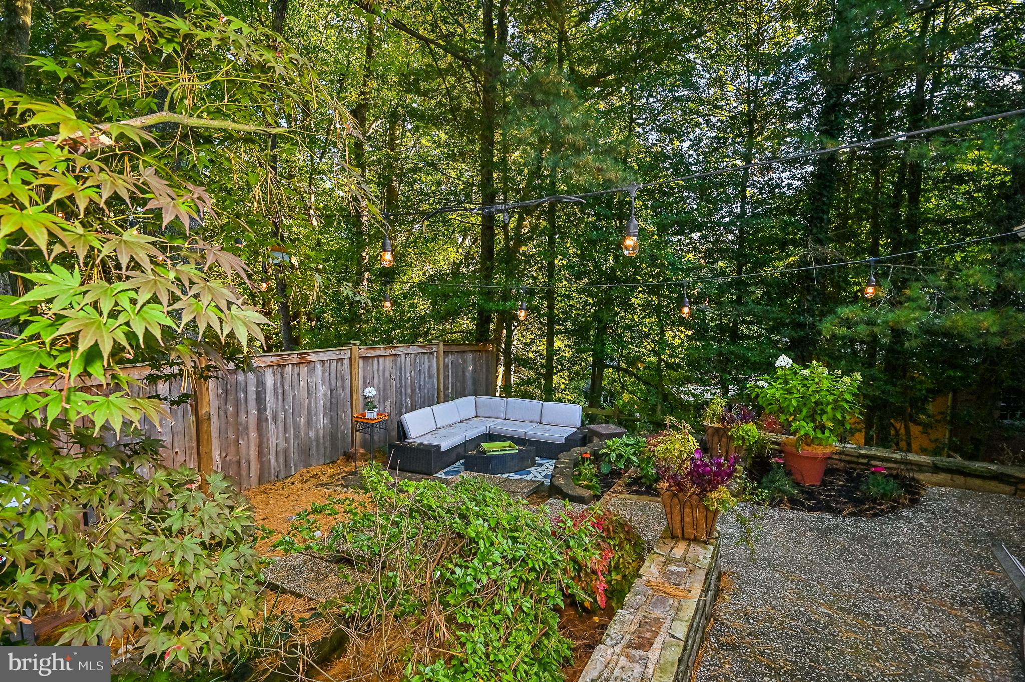 3675 Military Road Arlington, VA 22207 - Photo 37 of 40 Lush Trees and Multiple Patios in the Rear Yard