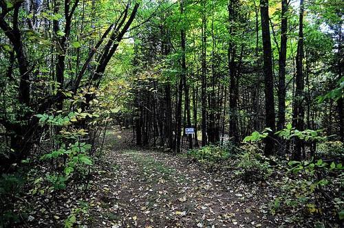 166 Milo Road Sebec, ME 04481 - Photo 24 of 31 Photo
