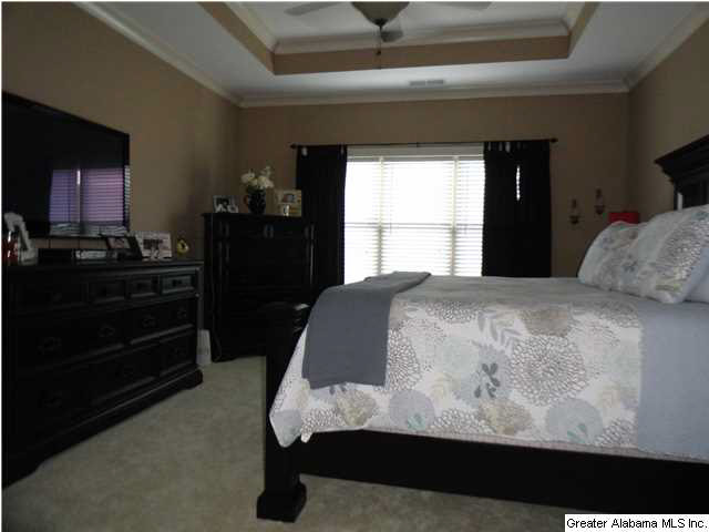48 White Oak Circle Springville, AL 35146 - Photo 9 of 22
