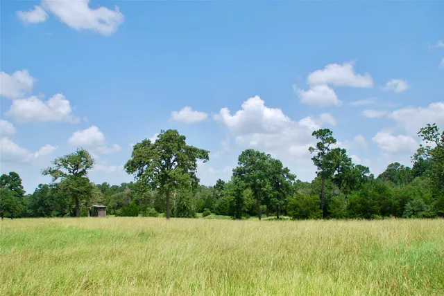 a green field with lots of trees in it