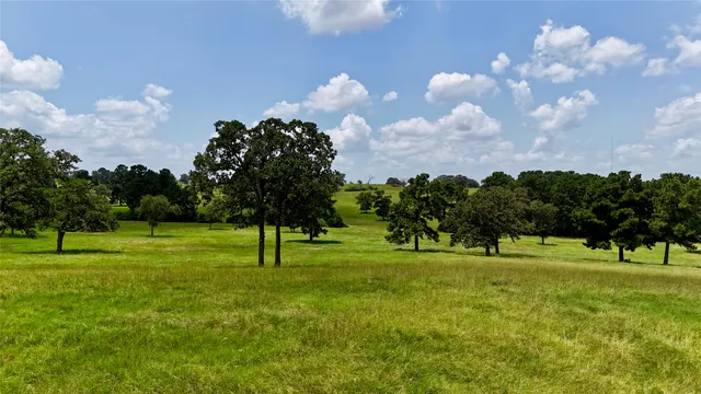 a backyard of a house with a tree