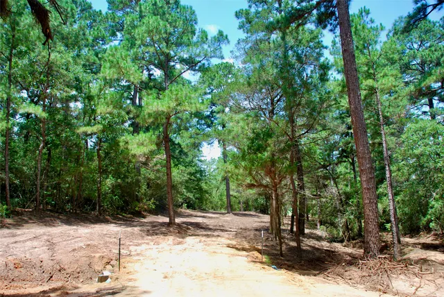 a view of a tree in the middle of a yard