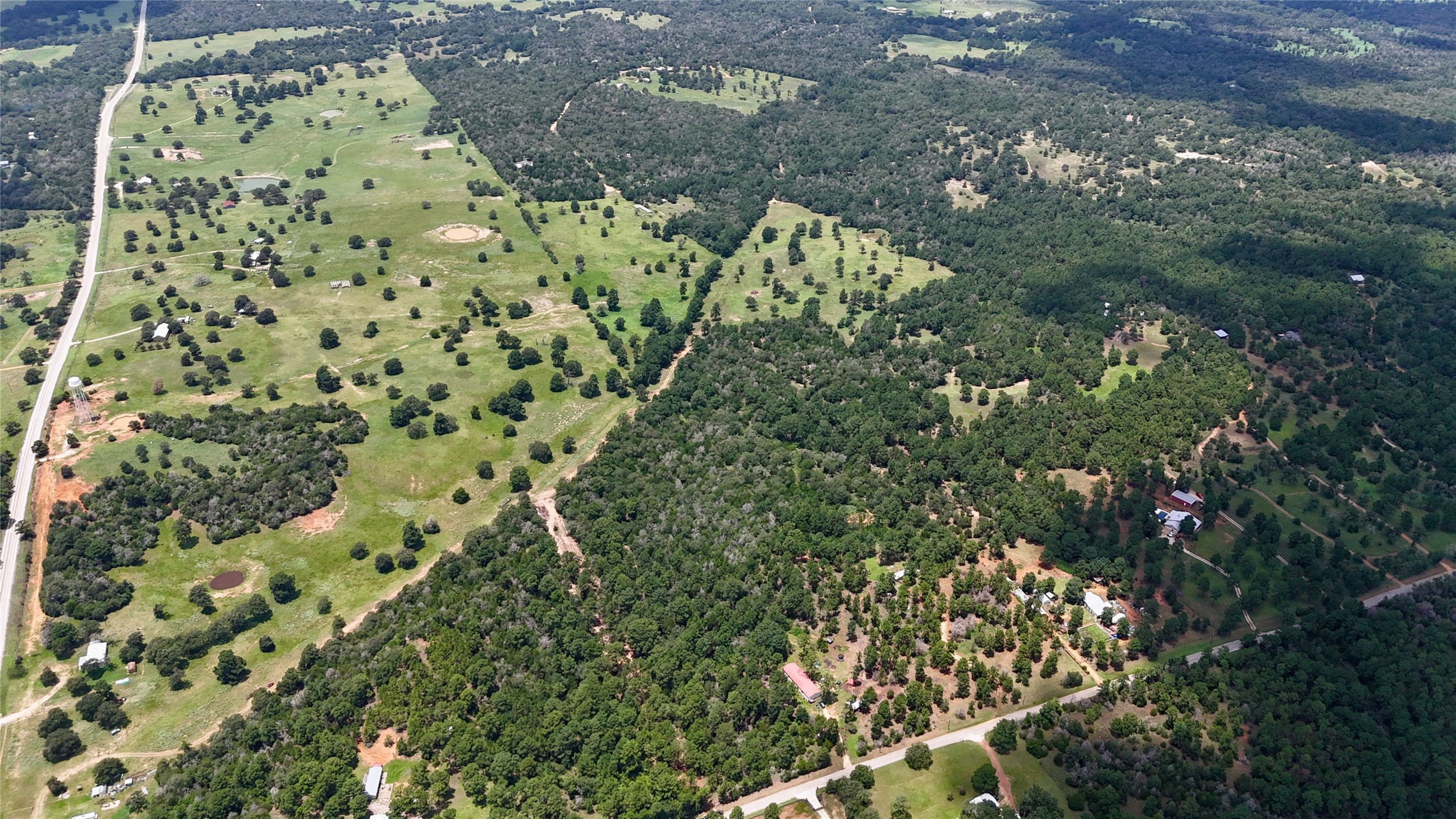 Tbd Sandy Road Rosanky, TX 78953 - Photo 20 of 43 a close up of a plant in a garden