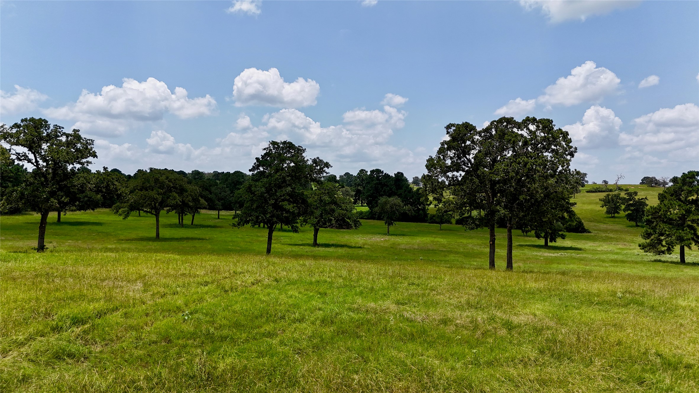Tbd Sandy Road Rosanky, TX 78953 - Photo 2 of 43 a view of field with tall trees