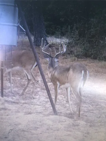 a black and white photo of a