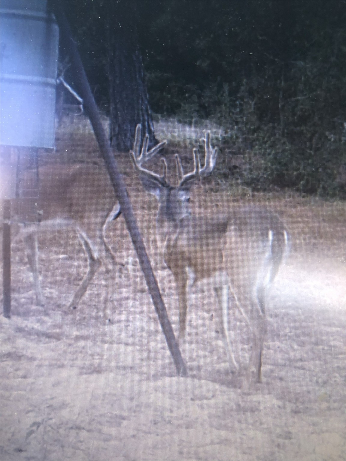 Tbd Sandy Road Rosanky, TX 78953 - Photo 24 of 43 a view of a yard with table and chairs