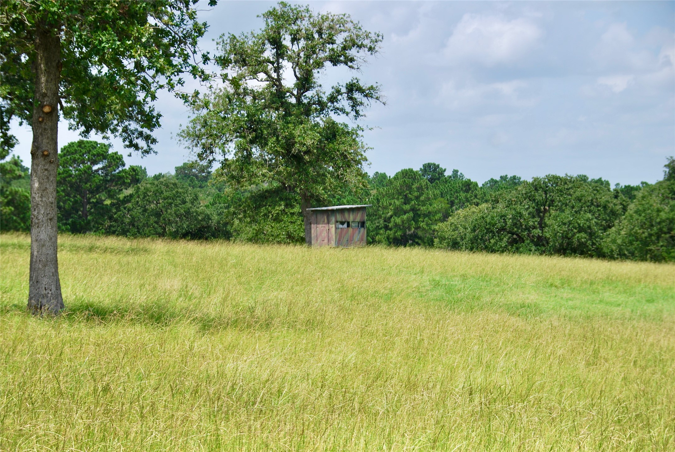 Tbd Sandy Road Rosanky, TX 78953 - Photo 33 of 43 a view of a garden with trees