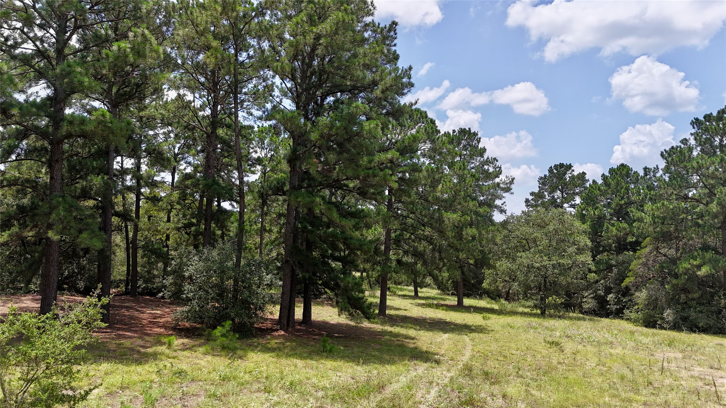 Tbd Sandy Road Rosanky, TX 78953 - Photo 38 of 43