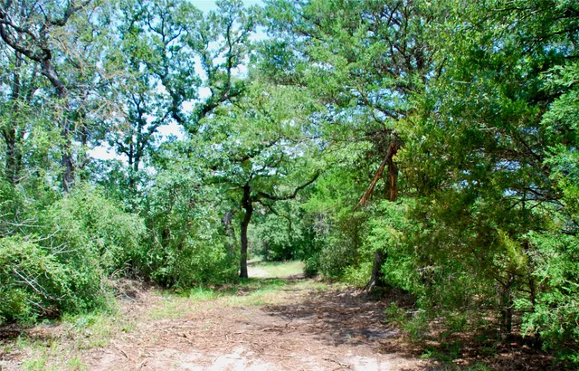 a view of a yard with a sink