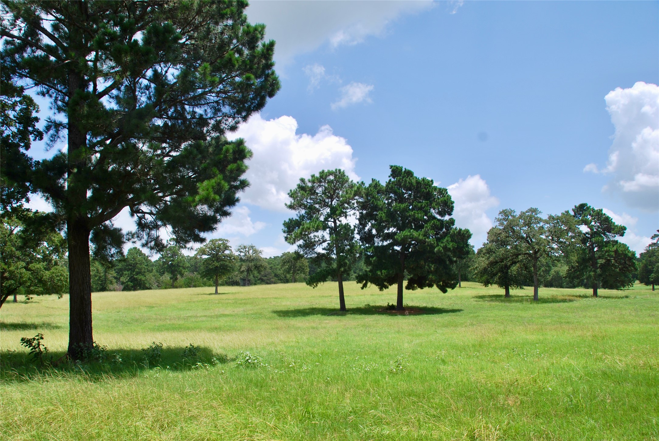 Tbd Sandy Road Rosanky, TX 78953 - Photo 4 of 43 a view of a kids park