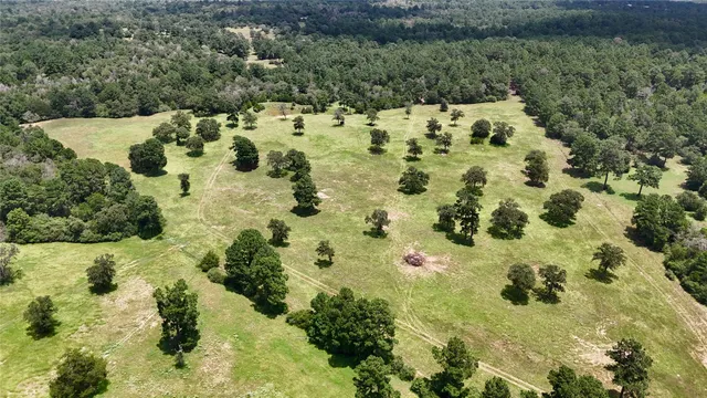 $795,000 | Tbd Sandy Road, Rosanky, TX 78953