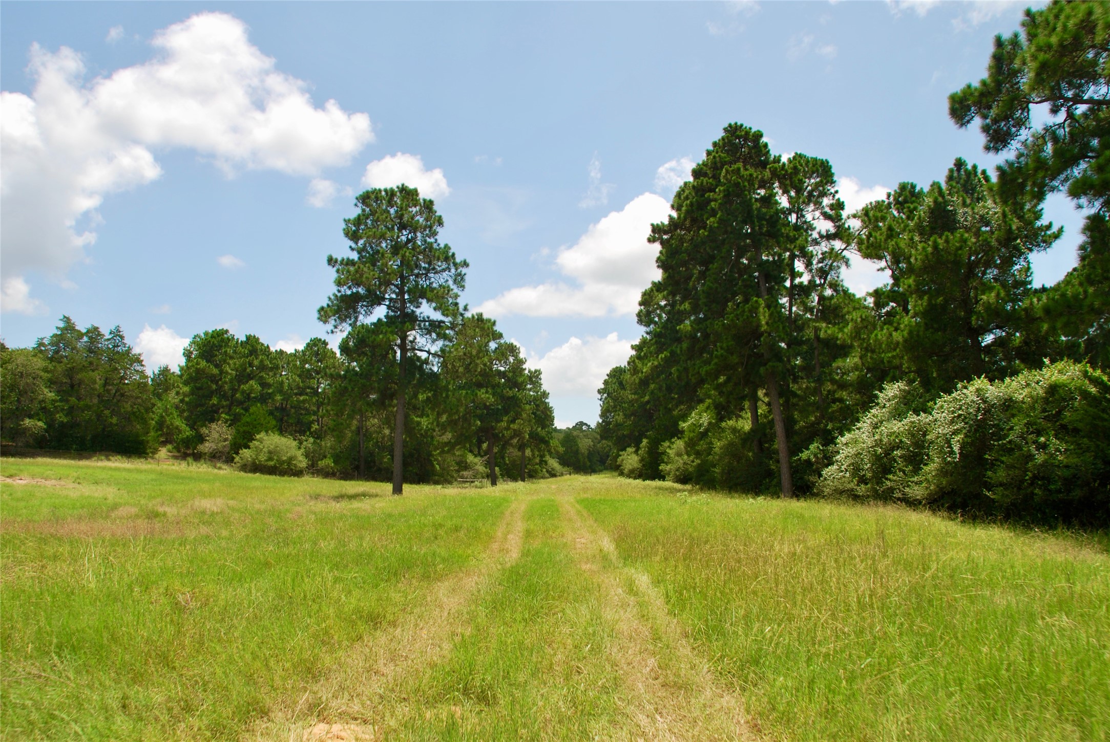 Tbd Sandy Road Rosanky, TX 78953 - Photo 43 of 43