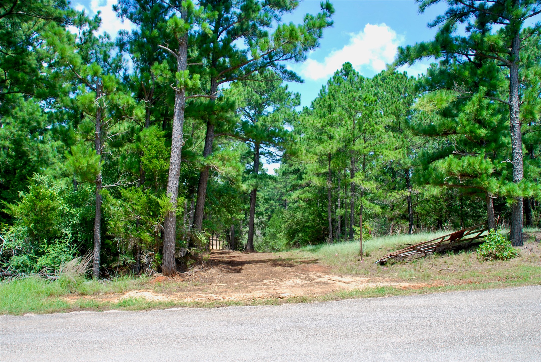 Tbd Sandy Road Rosanky, TX 78953 - Photo 5 of 43 a view of a yard with plants and trees