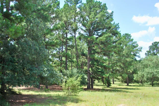 a view of swimming pool with a yard